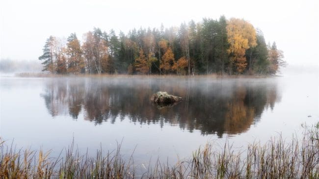 PFAS finns kvar länge i naturen och kan nå dricksvatten för djur och människor som lagrar ämnena i kroppen.