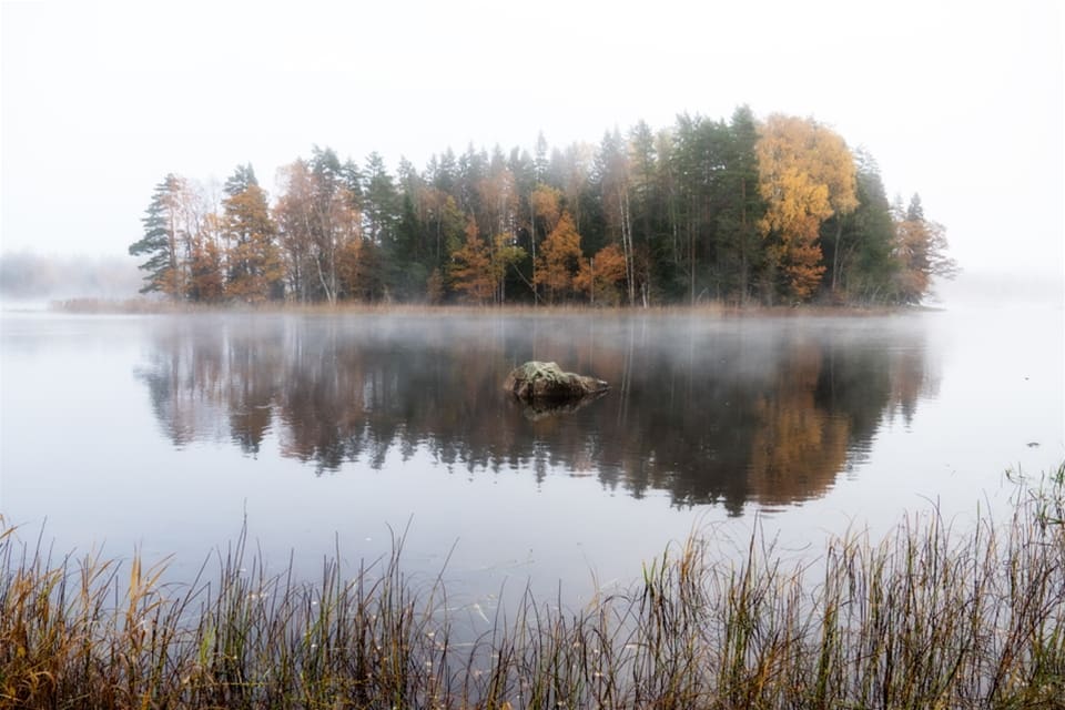 PFAS finns kvar länge i naturen och kan nå dricksvatten för djur och människor som lagrar ämnena i kroppen.
