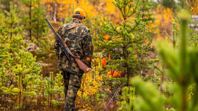 Jägarnas Riksförbund är oroliga för att den höga provavgiften ska bli ett hinder för en del av dem som i framtiden vill ta jägarexamen.