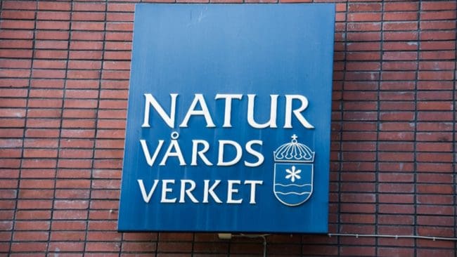 Naturvårdsverket inväntar nu remissvar för att gå vidare med arbetet att utforma riktlinjer för hur viltet ska vårdas.