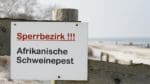 Afrikansk svinpest oroar danska myndigheter efter att fall bekräftats när gränsen.