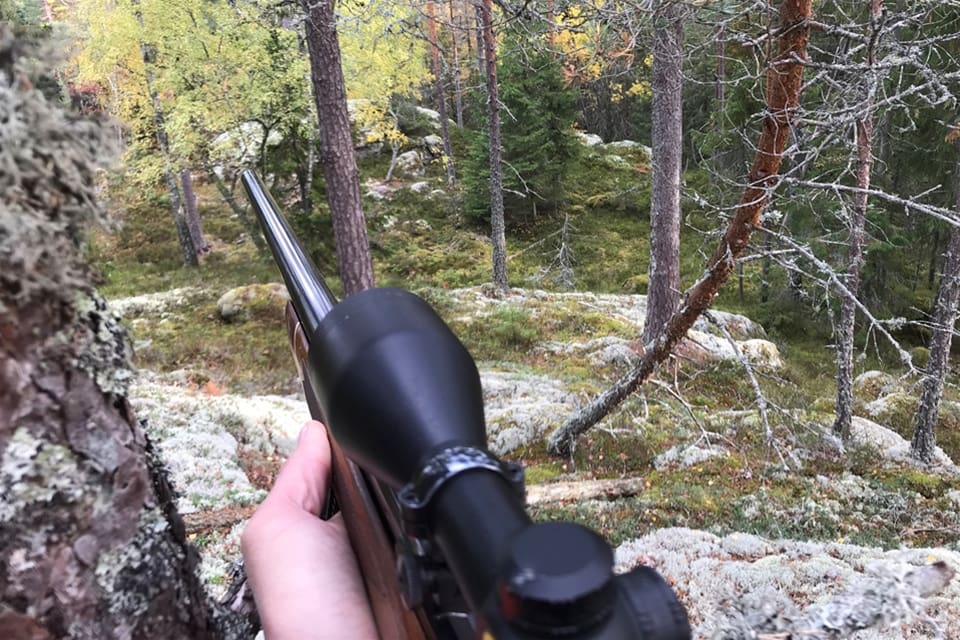 Älgjakten kunde ha slutat illa, nu kom de inblandade undan med blotta förskräckelsen.