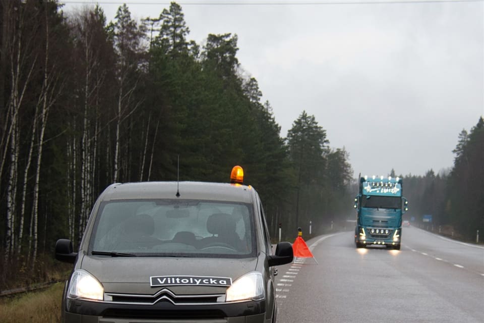 Bilföraren polisanmälde eftersöksjägare som avlivade ett skadat rådjur. (arkivbild)